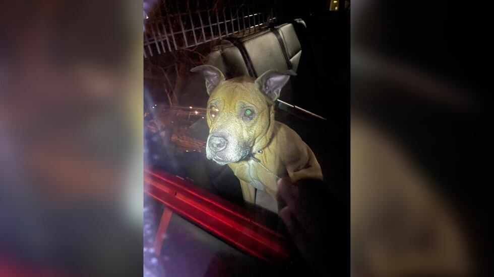 Police said a man was charged with animal cruelty after a dog was found abandoned inside a...