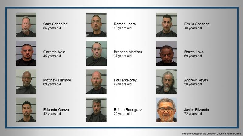 Twelve sex offenders are in custody following a month-long, multi-agency investigation from...