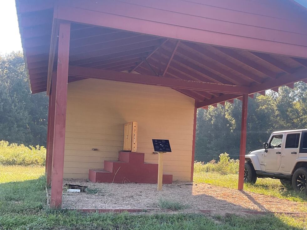 Camp Tyler installs observation bee hive