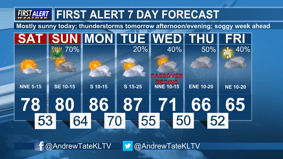 7 Day Forecast