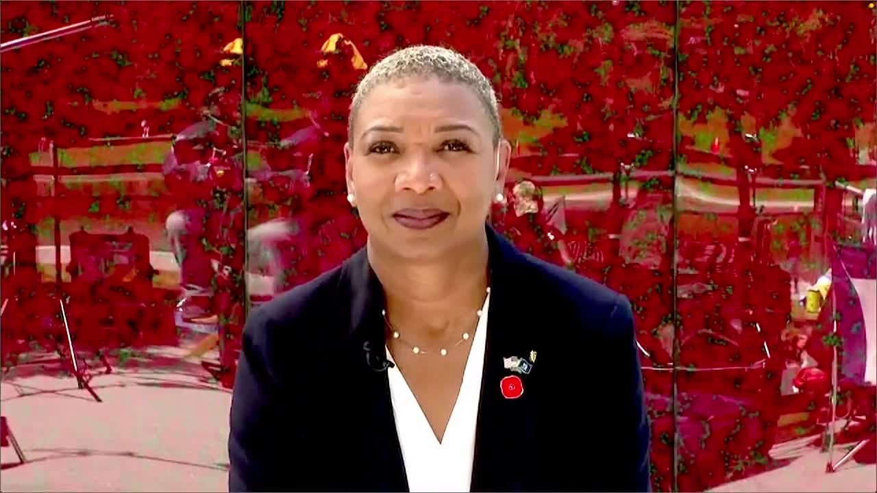 WATCH: National Mall memorializes fallen servicemembers with special Poppy Honor Wall - Vimarsana News