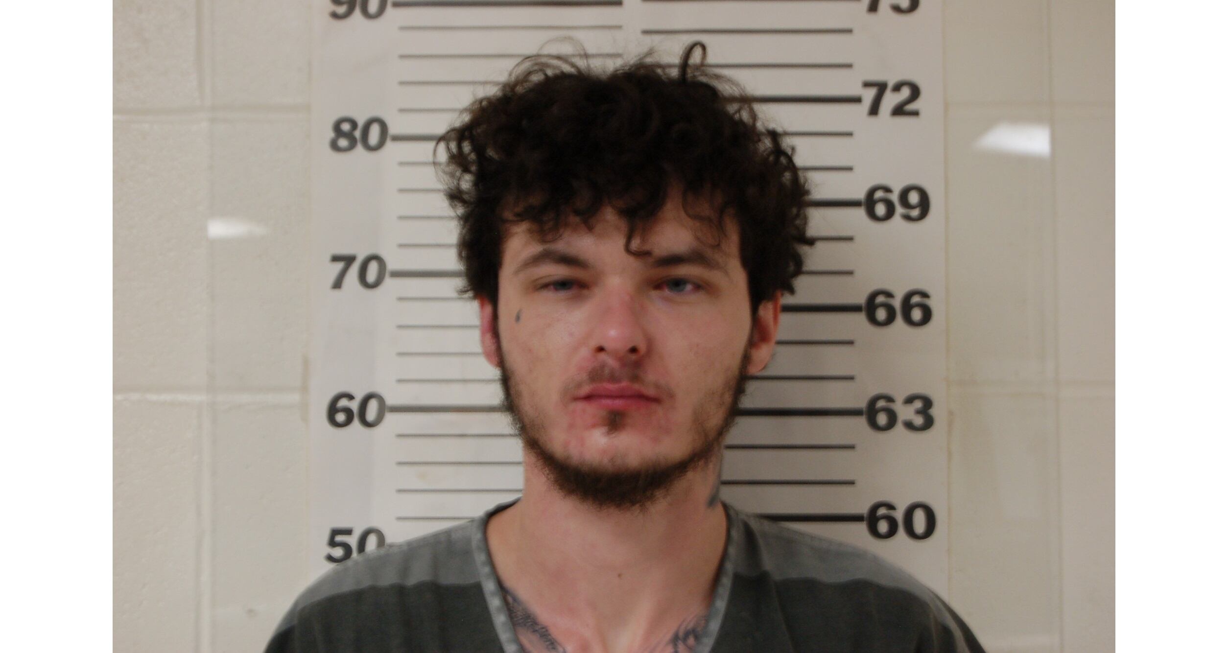 Man gets 20 year sentence after pulling knife on friend he was visiting in Henderson County - Vimarsana News