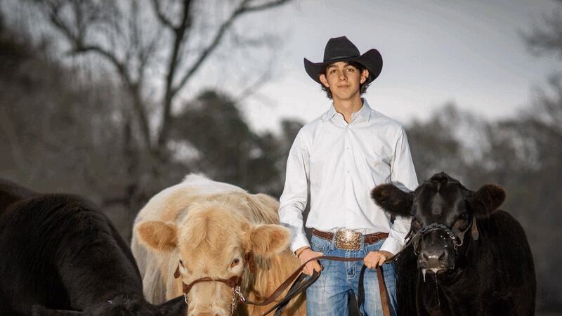 Hudson Senior Riley Jenkins with two steers, a heifer, and his dog Berkely. Riley will exhibit...