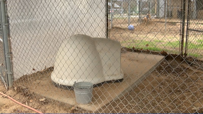 Igloo doghouse used at Pets Fur People in Tyler for their dogs that stay outside. (With the...