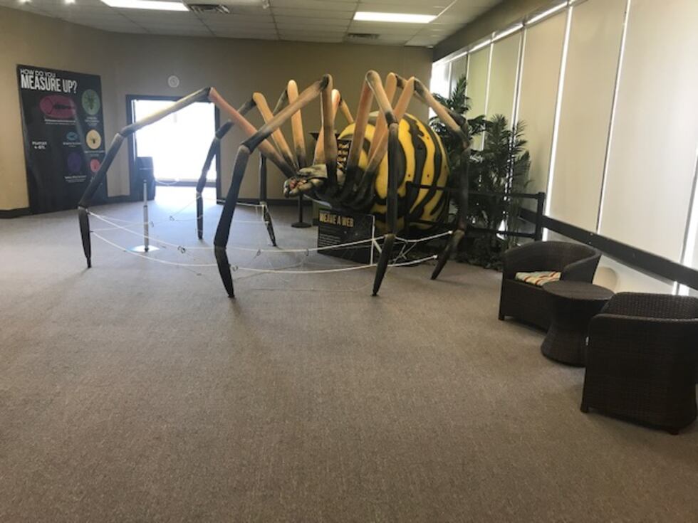 The Discovery Science Place (DSP) will unveil a new exhibit focusing on arachnids and their...