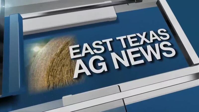 East Texas Ag News: Texas Hay Report