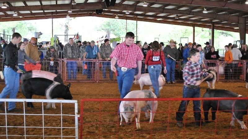 (Source: Angelina County Expo)