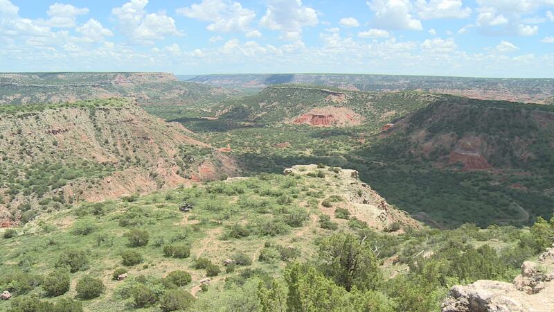 Canyon officials said a 17-year-old boy died Tuesday at Palo Duro Canyon State Park.