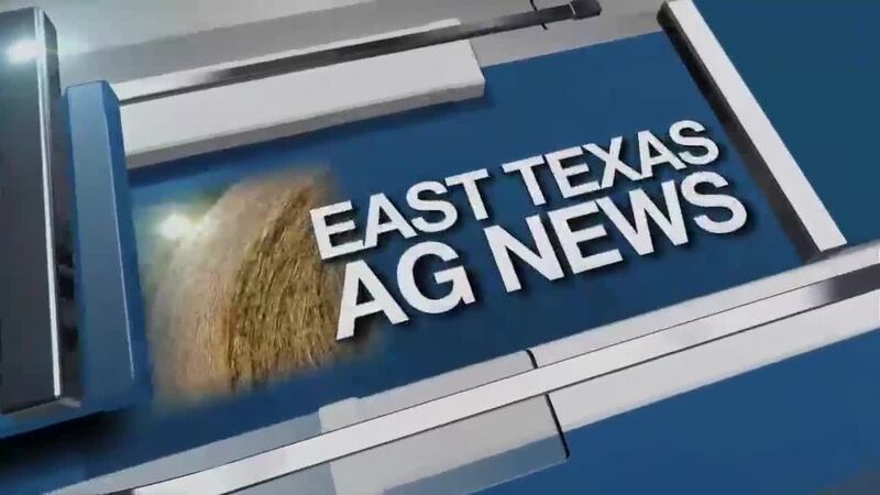 East Texas Ag News: Livestock Report