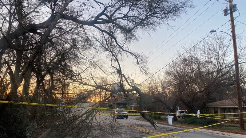 A tree is pressing down on the power line.
