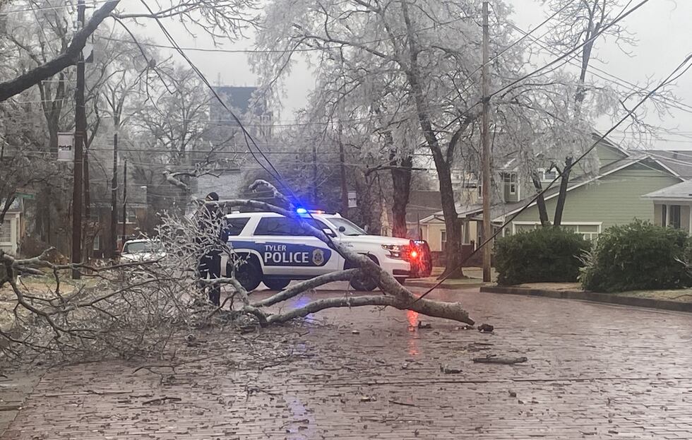 A tree limb has fallen on a power line on S. College Street in Tyler.